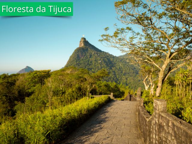 floresta-da-tijuca-rio-de-janeiro